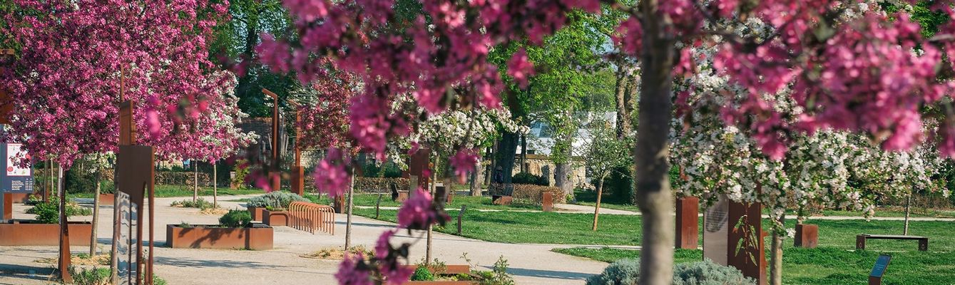 VILLE DU PETIT QUEVILLY