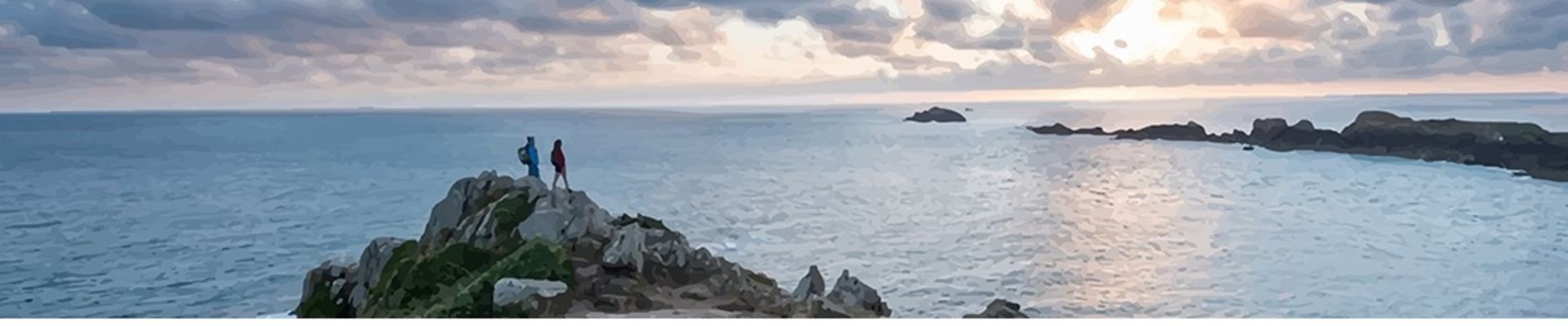 CONSEIL DEPARTEMENTAL D'ILLE ET VILAINE