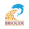 VILLE DE BRIOUDE