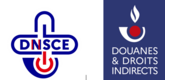 DNSCE