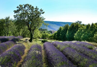  Région Sud Provence-Alpes-Côte d