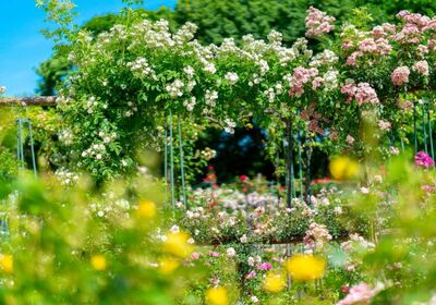 VILLE DE L'HAŸ LES ROSES