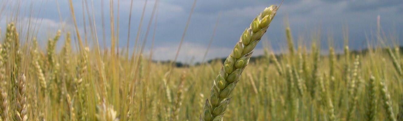 CHAMBRE REGIONALE D'AGRICULTURE DE BOURGOGNE FRANCHE COMTE