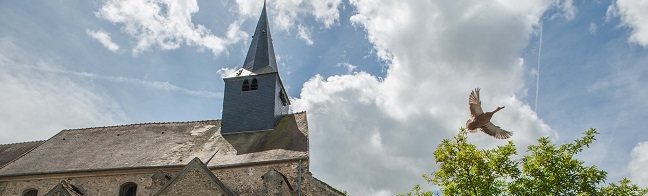 VILLE DE MAUREPAS