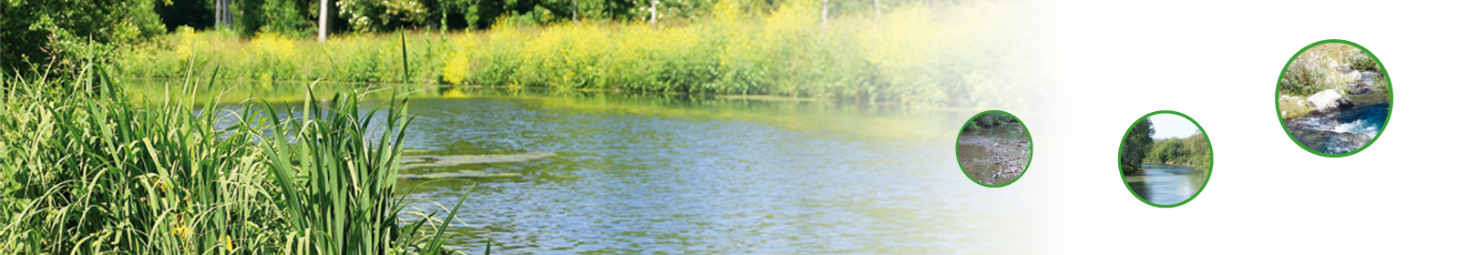 OFFICE FRANCAIS DE LA BIODIVERSITE