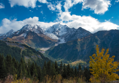 CONSEIL DEPARTEMENTAL DE HAUTE SAVOIE