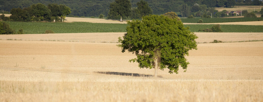 CC LOUE BRULON NOYEN