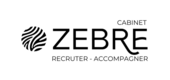 CABINET ZEBRE