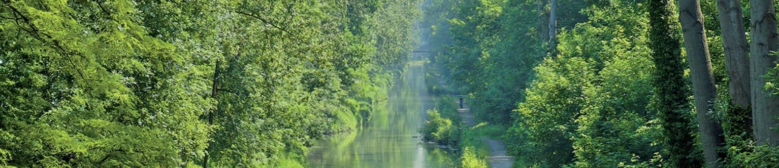 VILLE DE TREMBLAY EN FRANCE