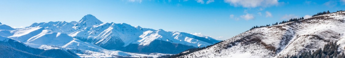 CONSEIL DEPARTEMENTAL DES HAUTES PYRENEES