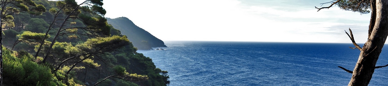 CONSEIL DEPARTEMENTAL DU VAR